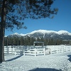 A Beautiful Flathead day