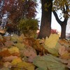 Fall in Kalispell, MT